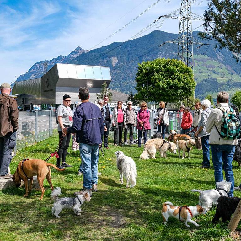 Hundezone - Gotthard Raststätte
