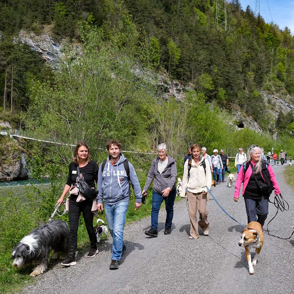 Spaziergang - Gotthard Raststätte